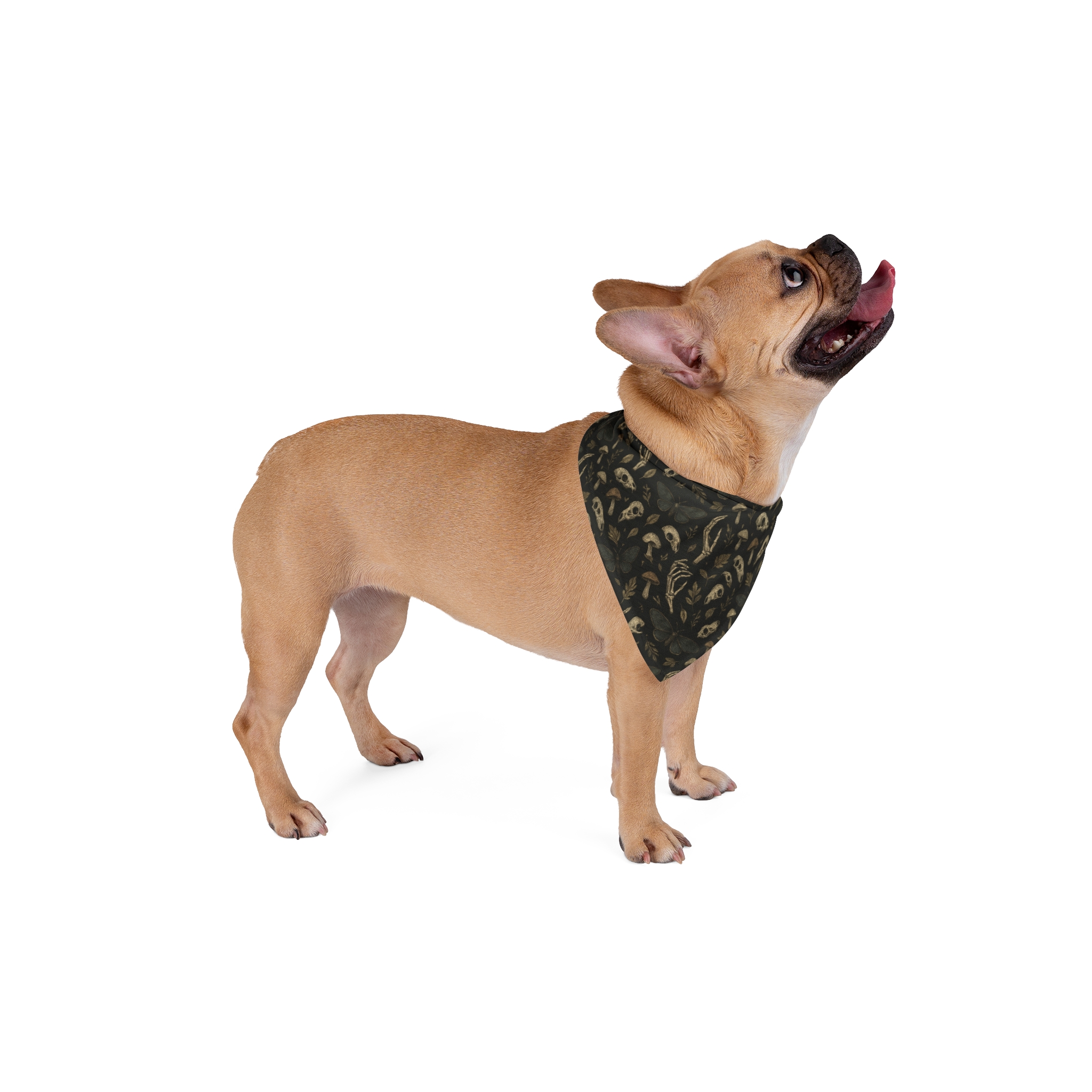 Chic Pet Bandana for Stylish Dogs - Mushrooms & Nature Inspired Design - Image 8